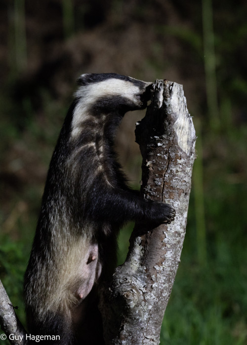 __3L2012.jpg