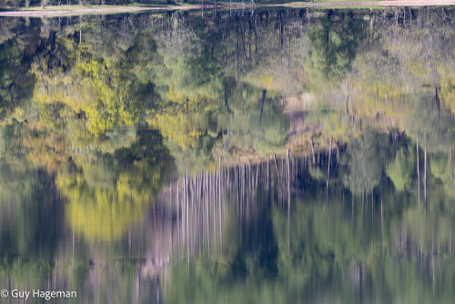 __3L0055.jpg